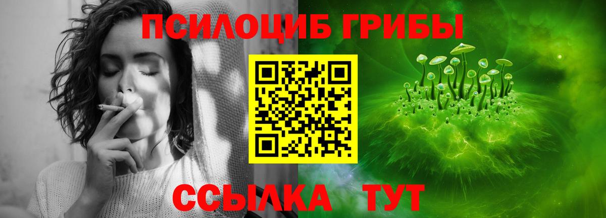 Галлюциногенные грибы Psilocybine cubensis  Вход с VPN  Богородск 